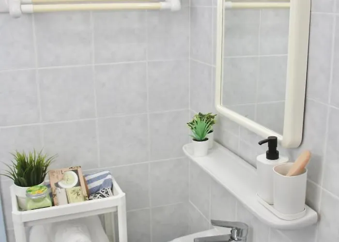 公寓 Bright Loft At Regina